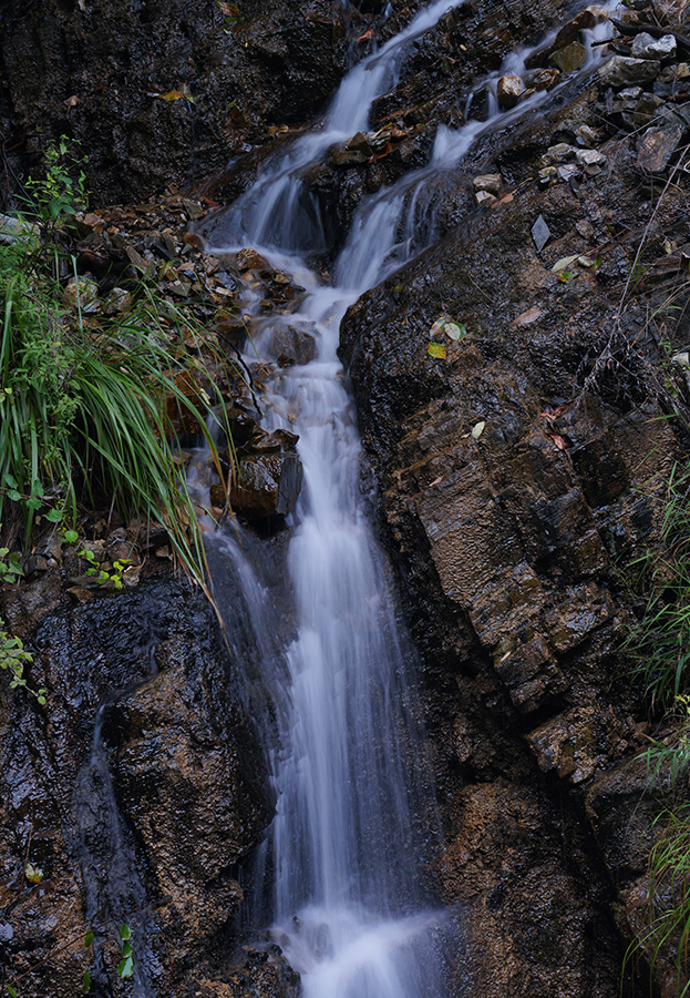DSC08579a.jpg