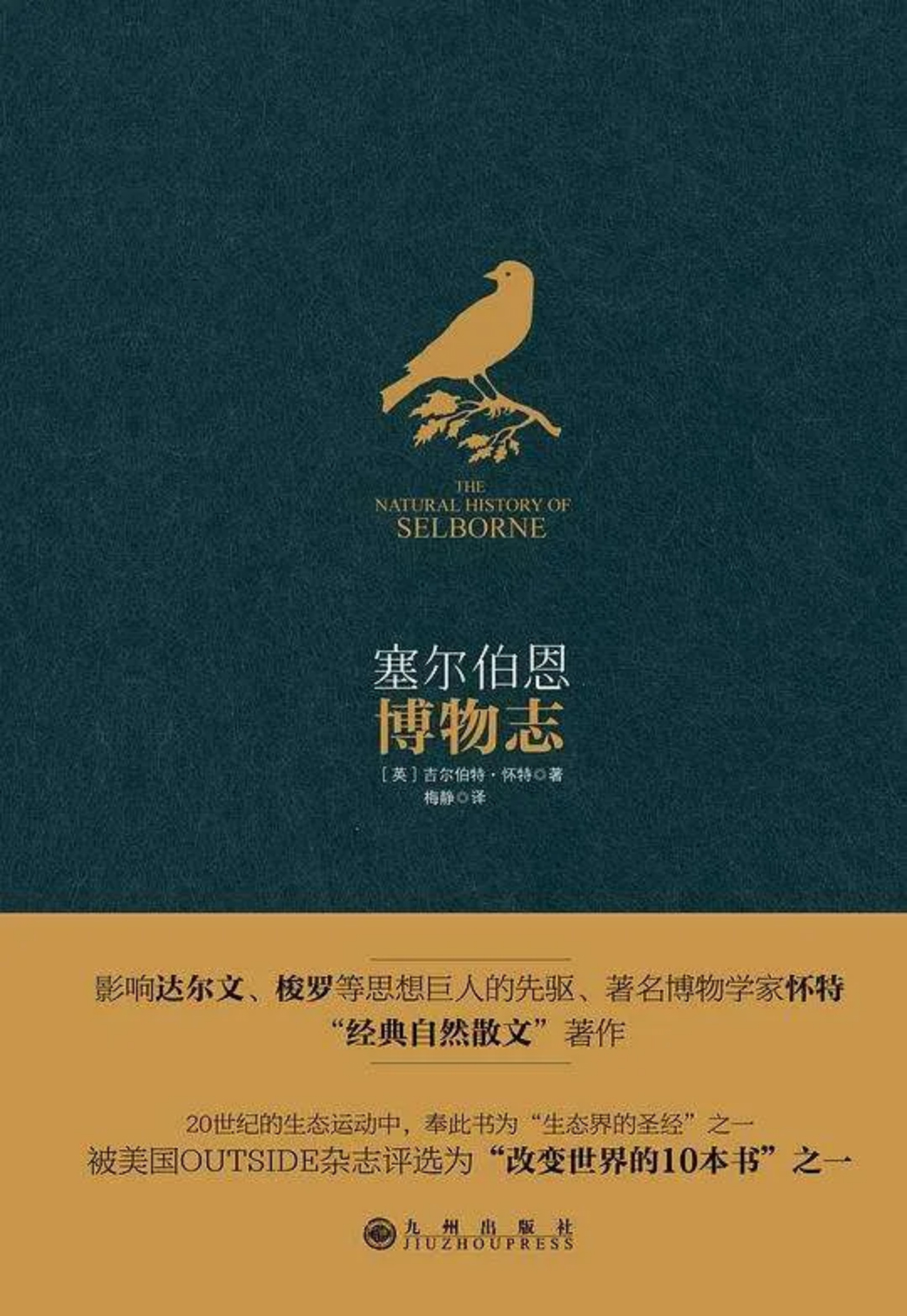 觀鳥與拍鳥612 拷貝.jpg
