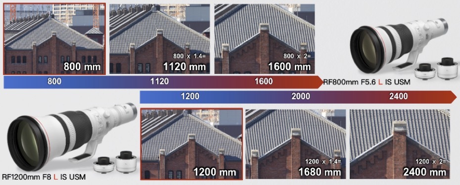 61-1645713382881.jpg