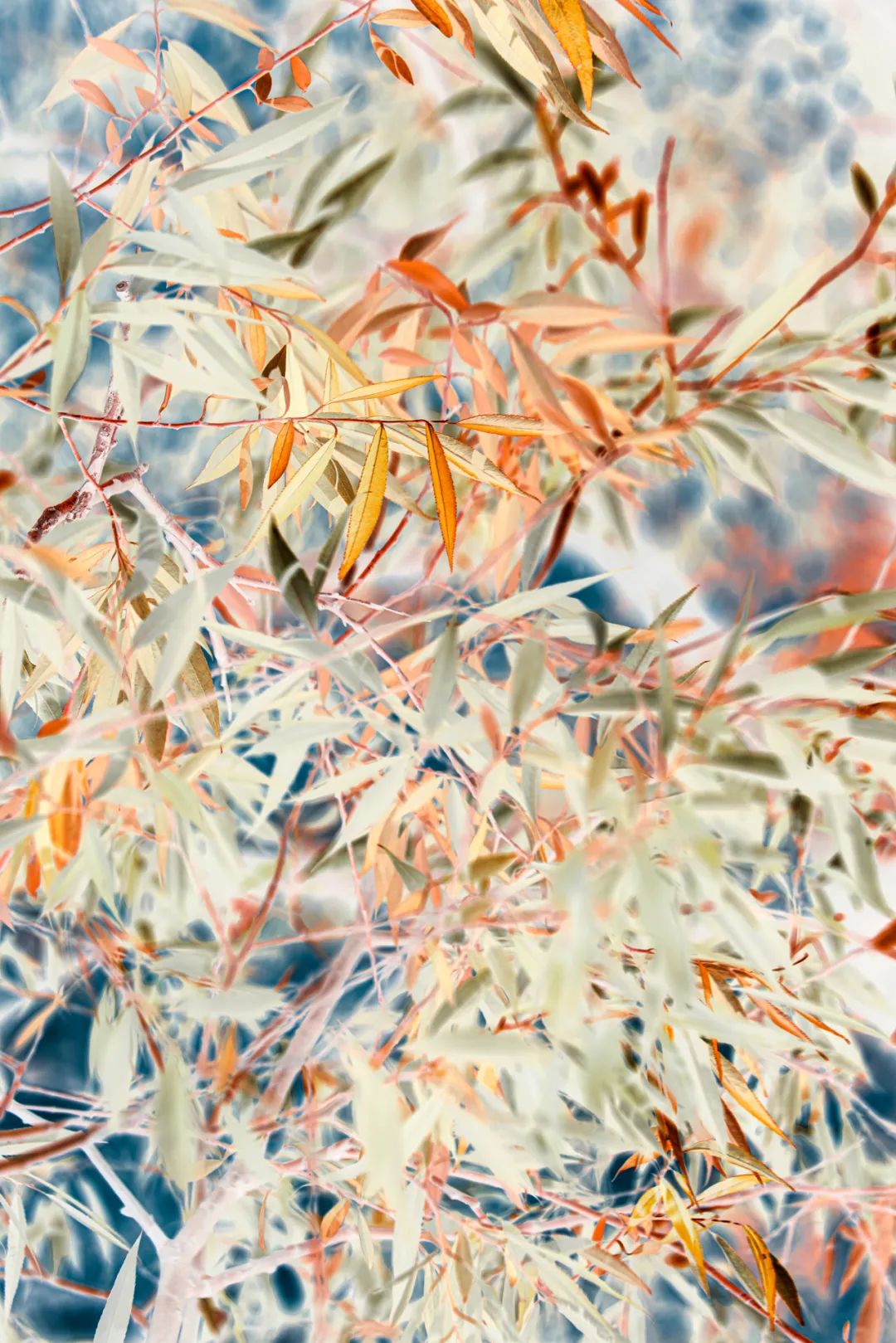 靳華6.jpg