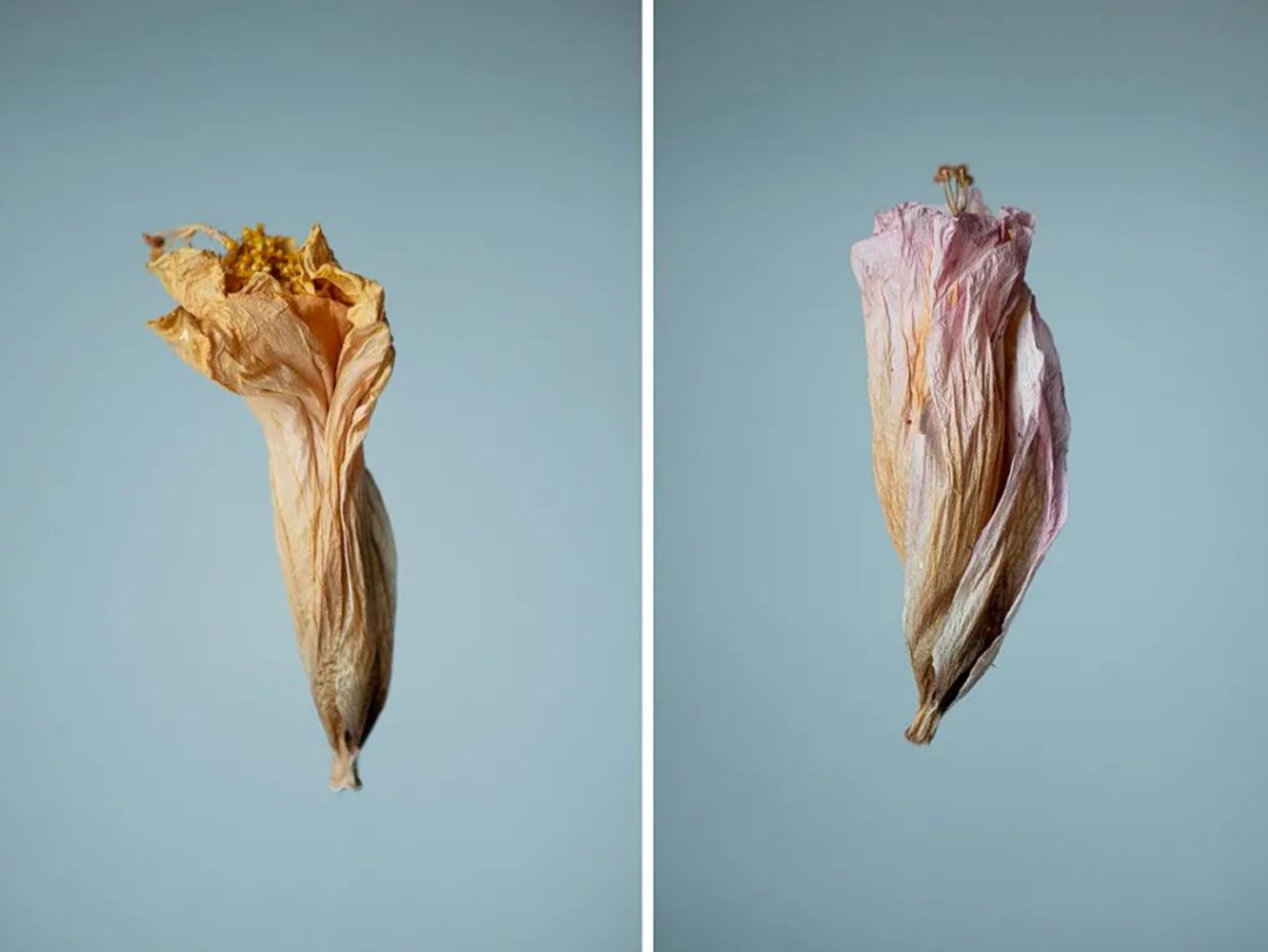 靳華2750 拷貝.jpg