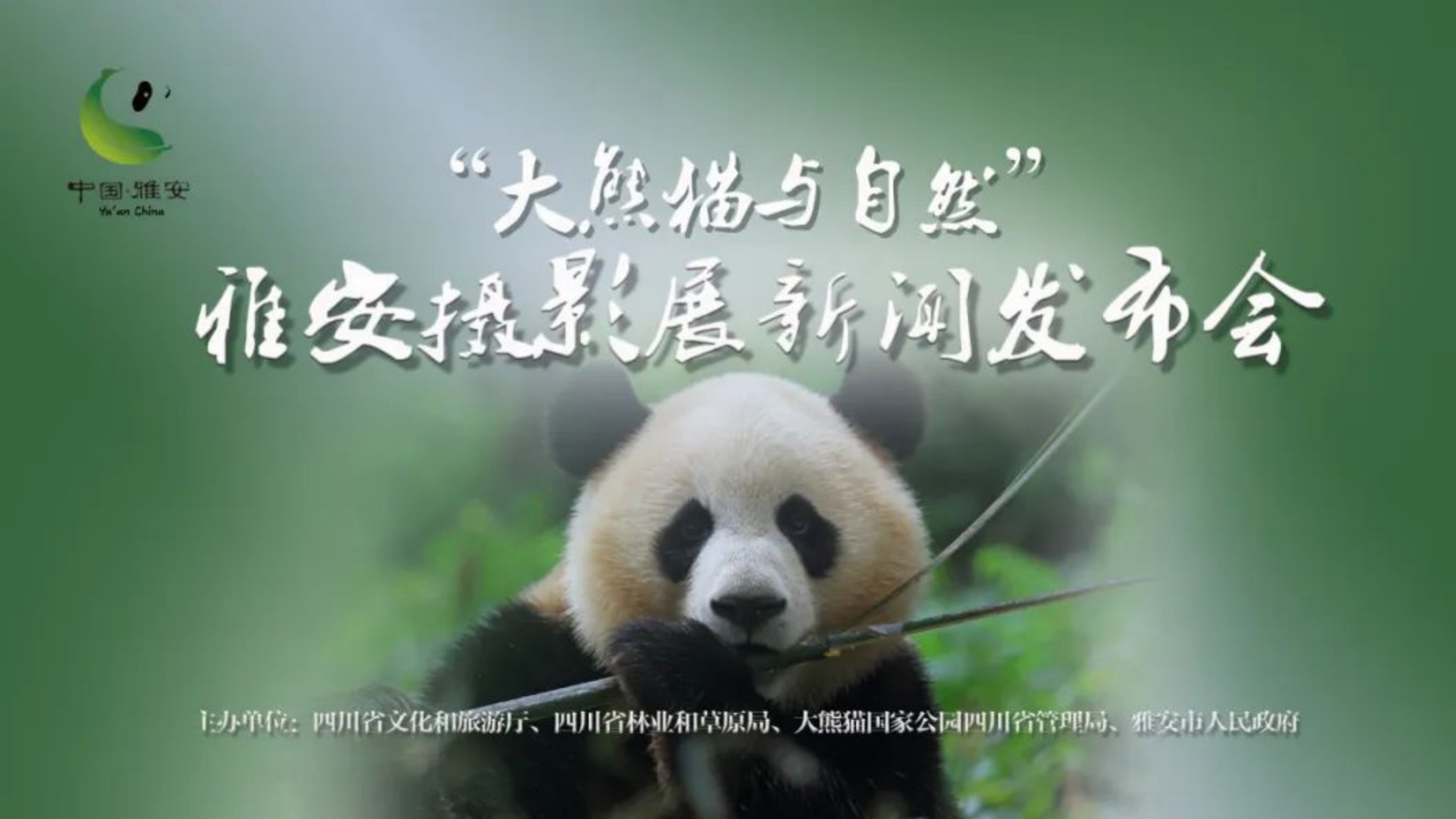 文字文稿21 拷貝.jpg