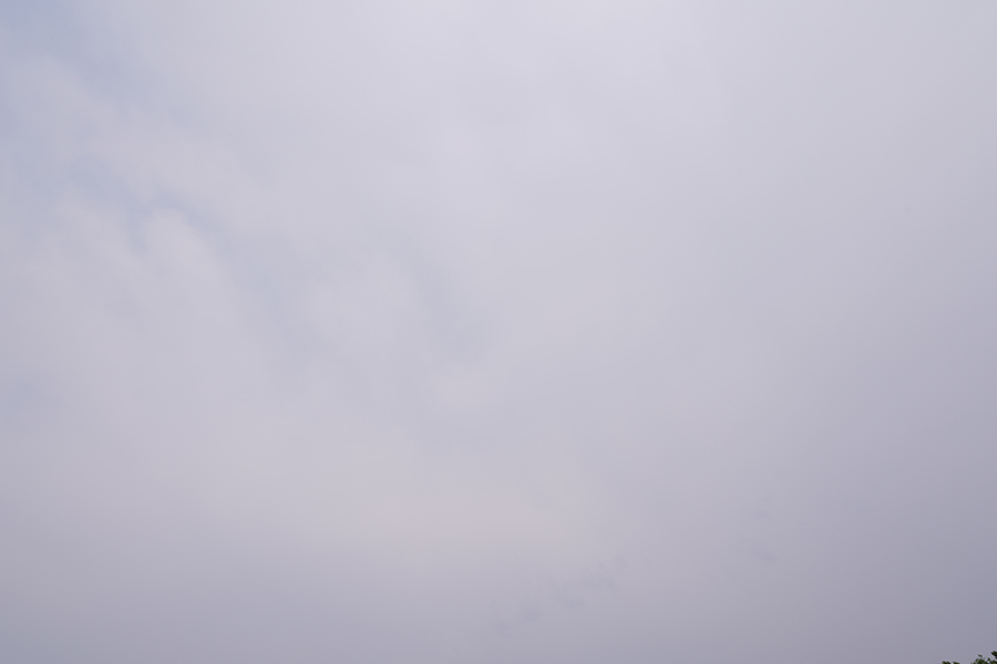 MIG07465.JPG