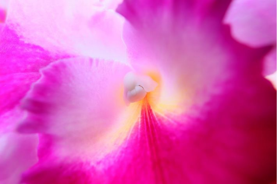 【新聞稿】佳能推出兩款RF廣角鏡頭新品 RF24mm F1.8 MACRO IS STM和RF15-30mm F4.5-6.3 IS STM1936.jpg