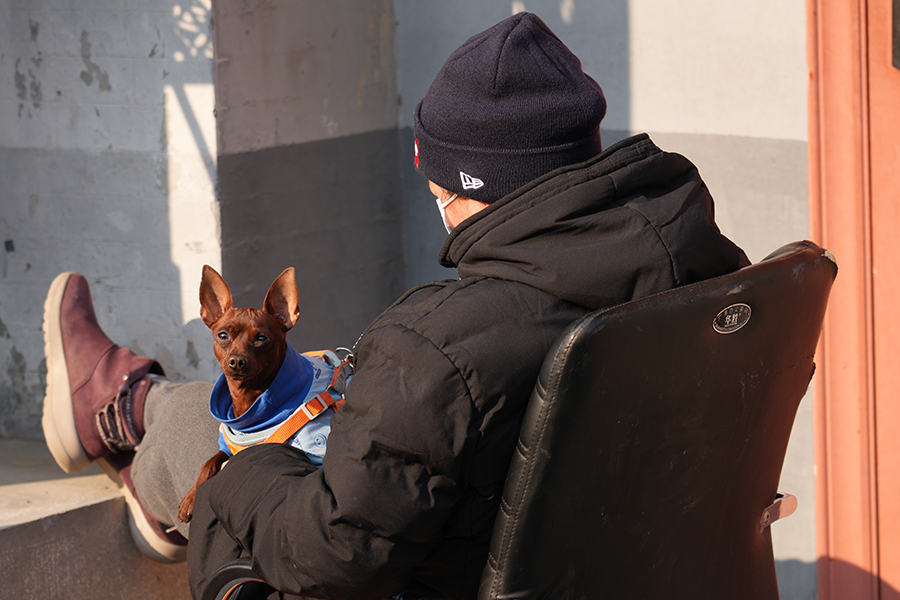 DSC00293_DxO.jpg