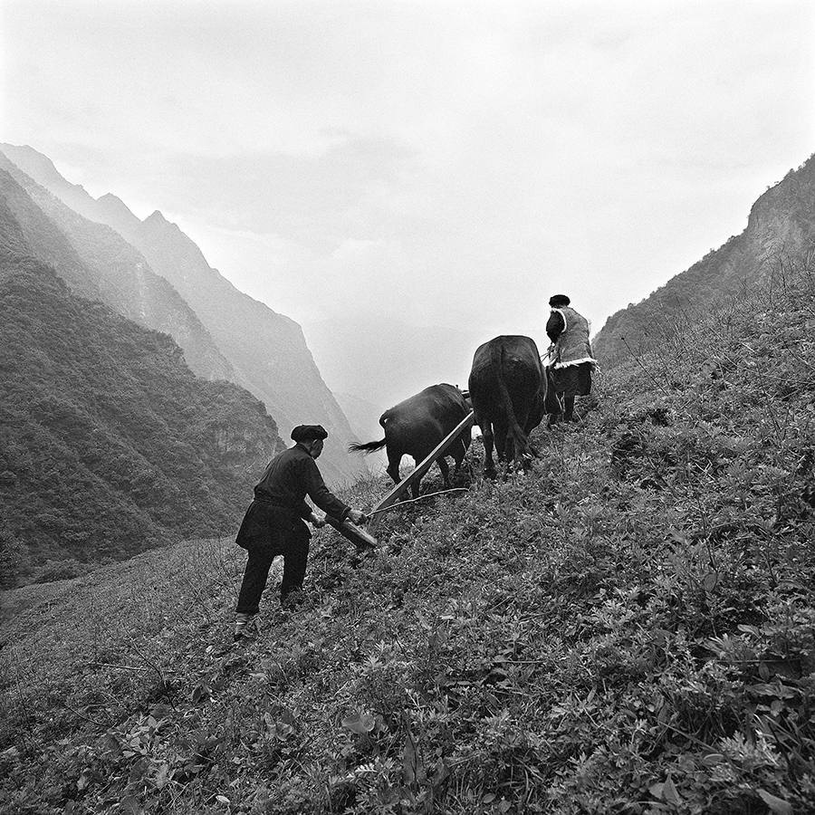 十年尋羌1-3， 拷貝.jpg
