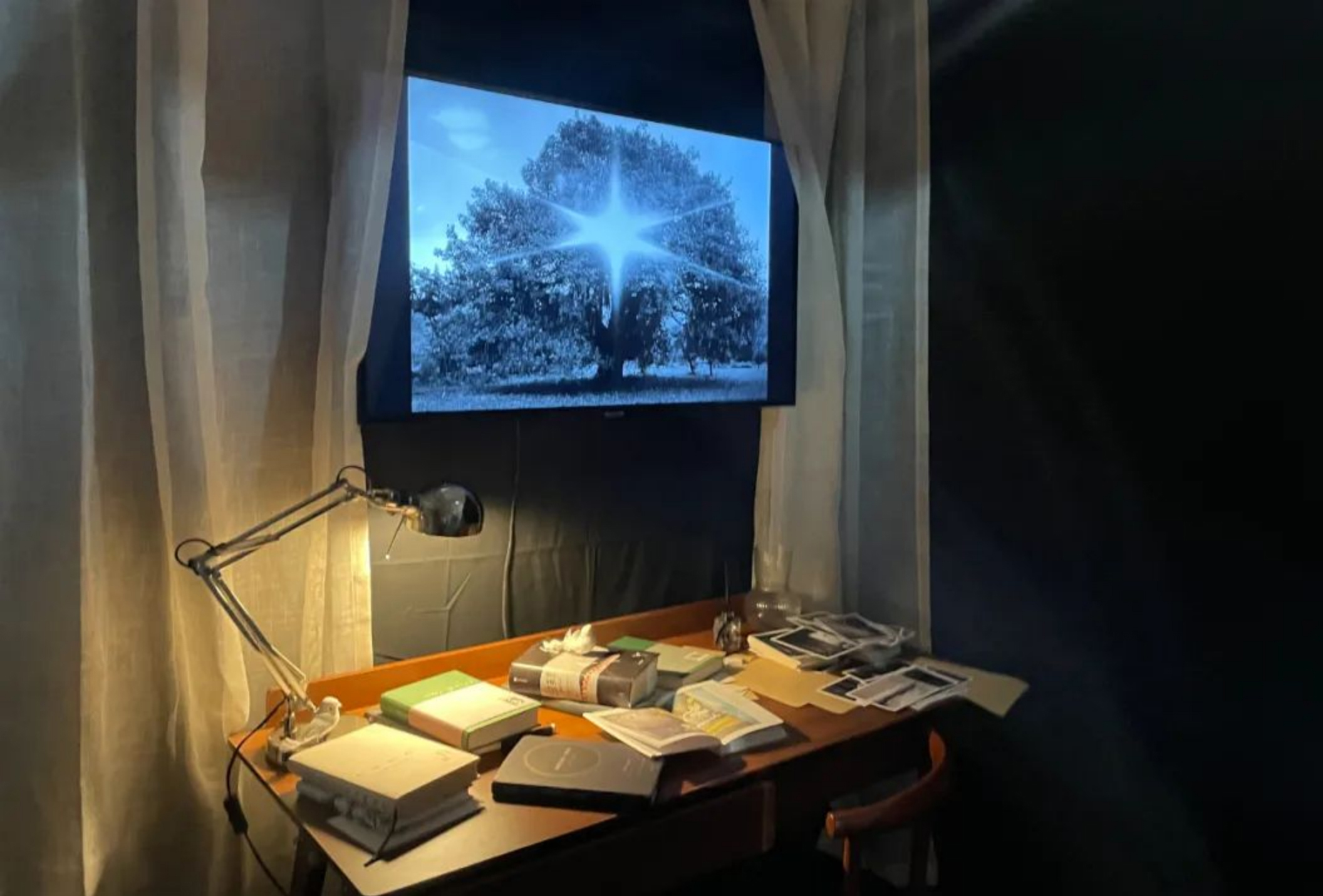 北影展2900 拷貝.jpg