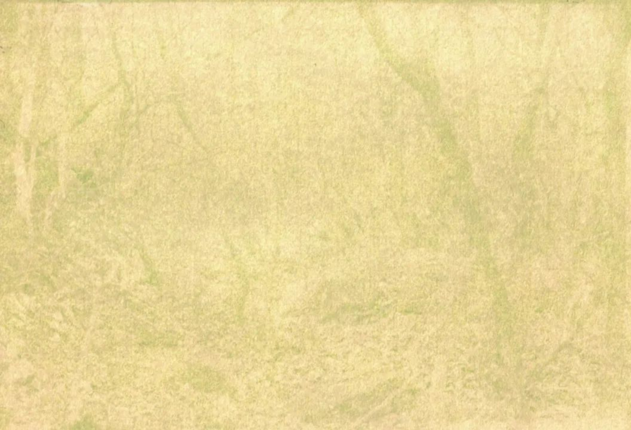 文字文稿12275 拷貝.jpg