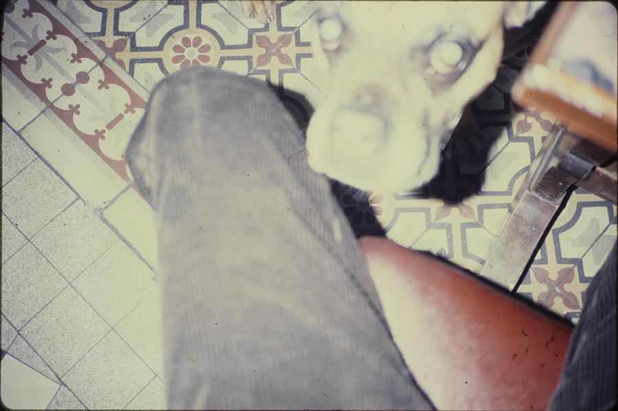 46.花磚地獄犬（巴黎）paris-1981.jpg