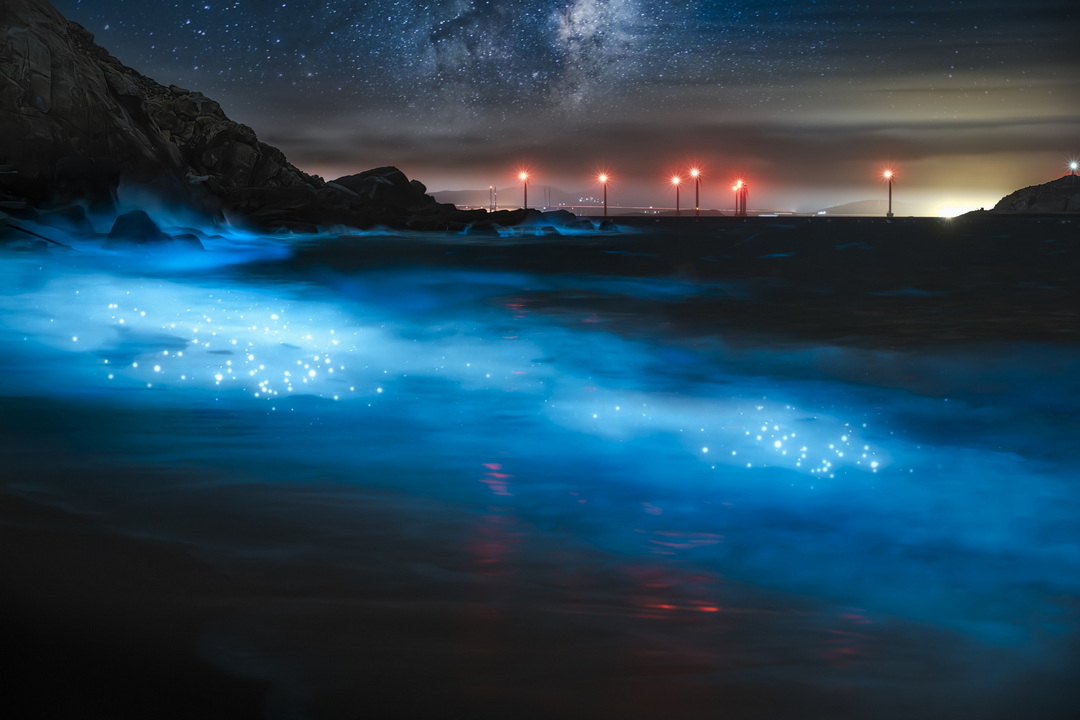 社會組 章俊杰 清夢壓星河.jpg