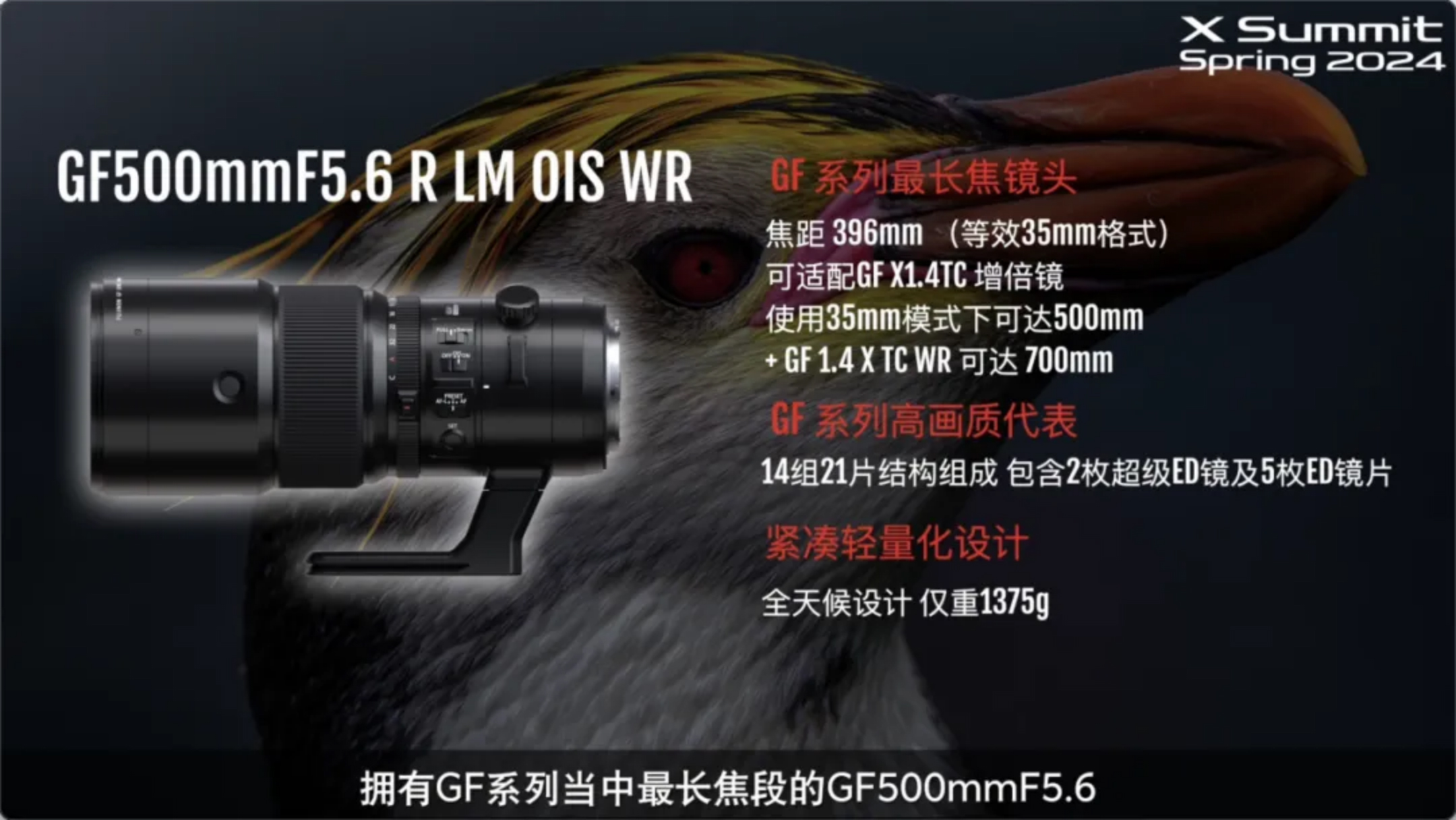 金秋十月542 拷貝.jpg