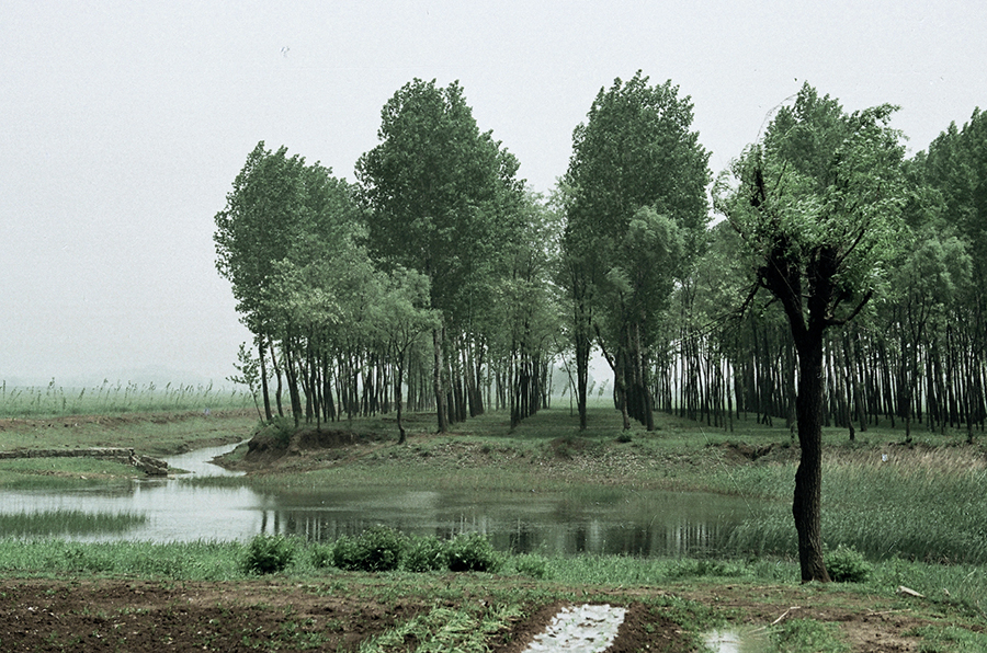 QQ20250326-160052 拷貝.jpg