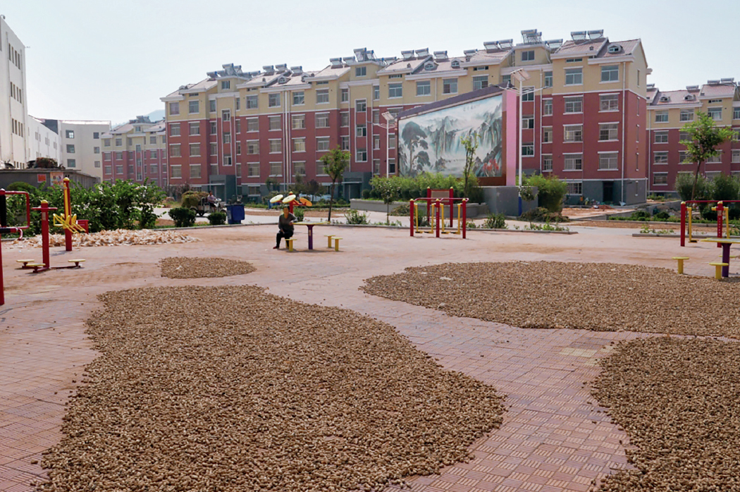 QQ20250326-161917 拷貝.jpg
