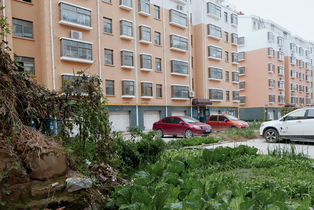 QQ20250326-161909 拷貝.jpg